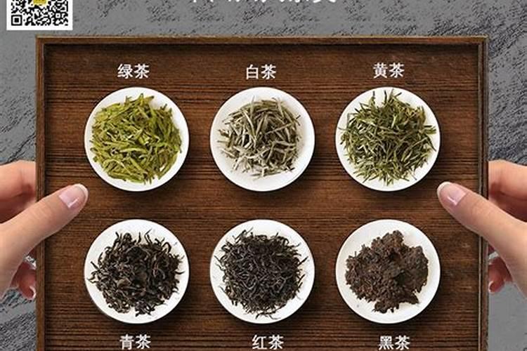 菜地常用的氮化肥有哪几种？各有什么特性？
