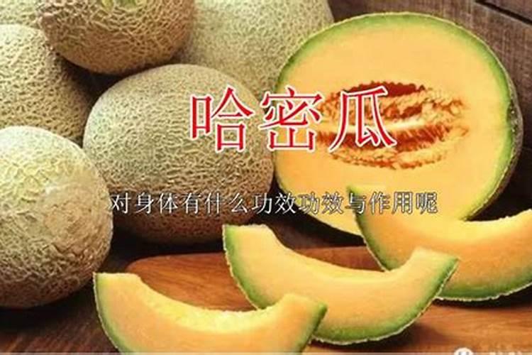哈密瓜什么时候施肥 哈密瓜最合适的施肥时间