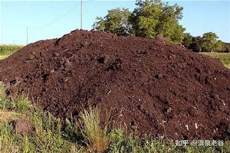 水东芥菜的生产情况