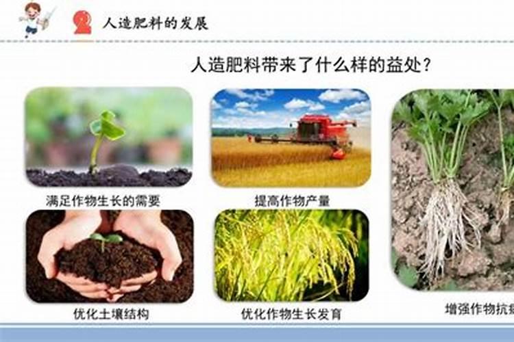 新型肥料应用技术上存在哪些问题？积累了哪些施肥技术经验