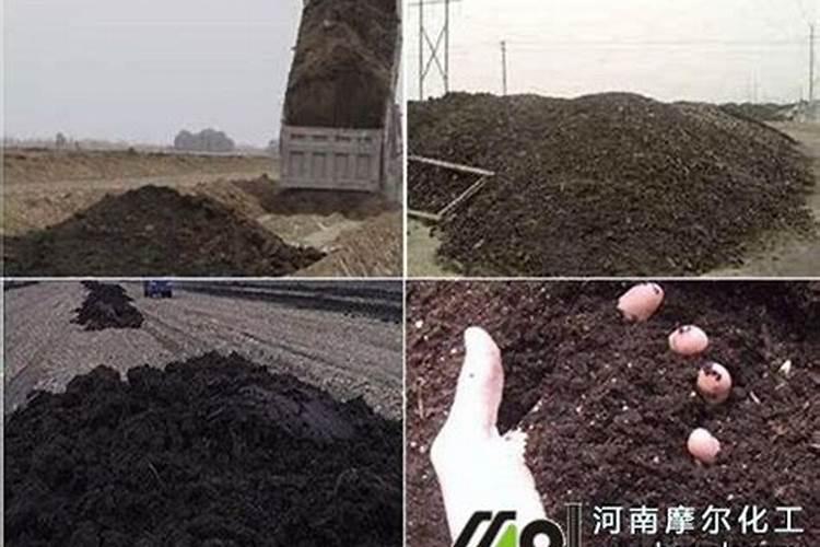 硝硫基和纯硫基复合肥哪个好