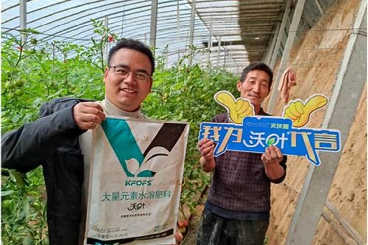 复合肥跟磷钾肥有什么区别