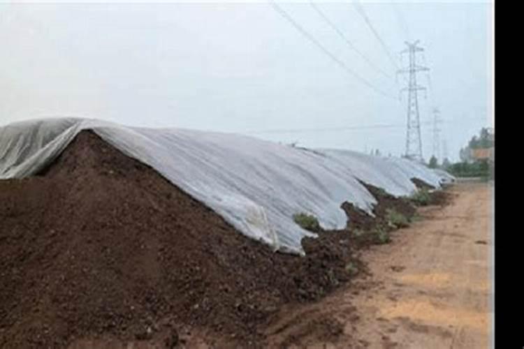 北方种植牧草一年收割几次 牧草一年可以收割几次