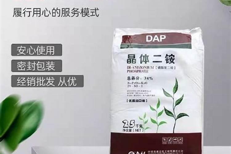 秋季养花巧施肥