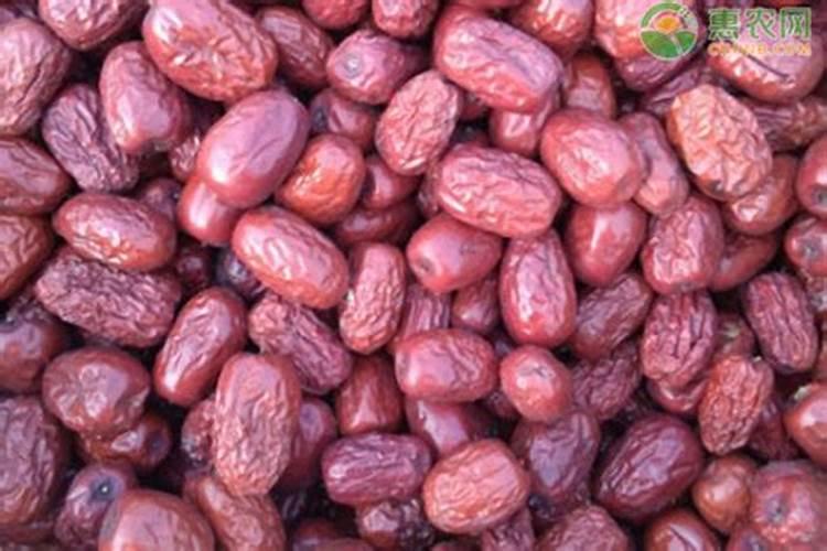 氮肥一般常用是什么肥料