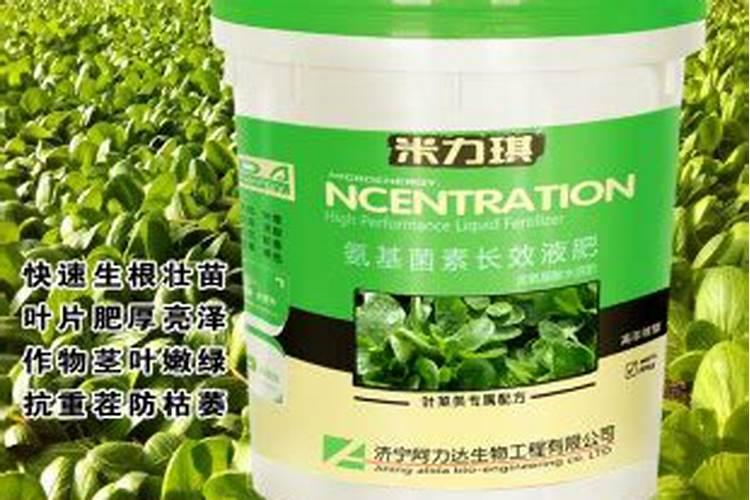 十大含钾高的水果