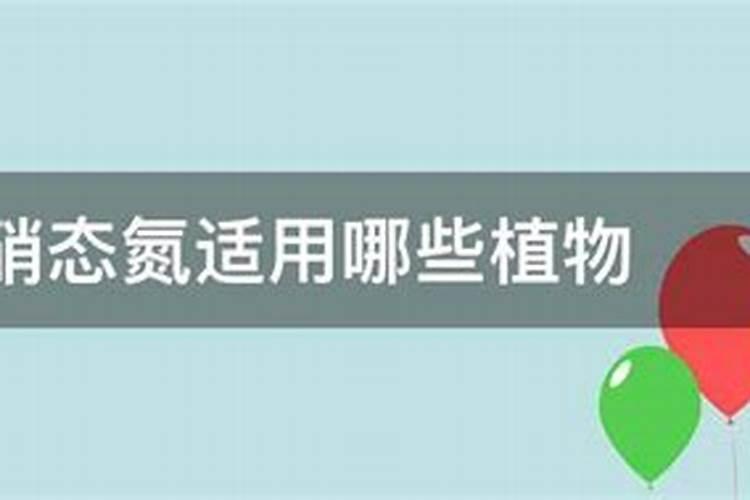 多肉植物施什么肥容易爆盆,多肉植物施什么肥
