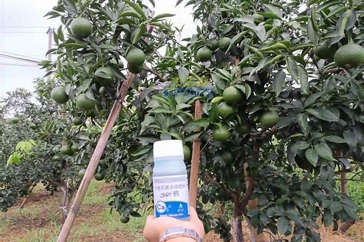 氨基酸和过磷酸钙一块用吗