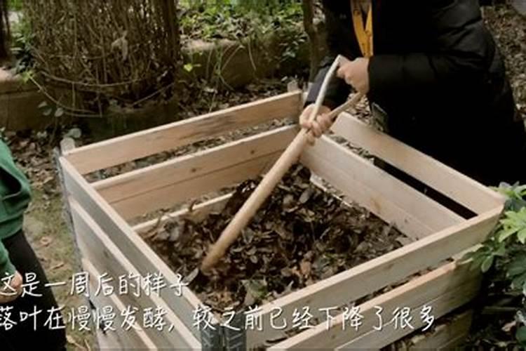 枯枝落叶是生物吗？