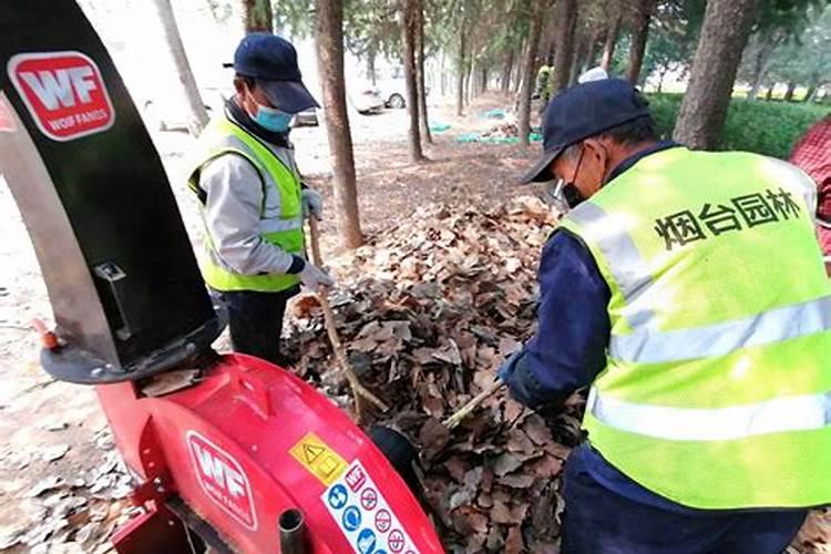 枯枝落叶是生物吗