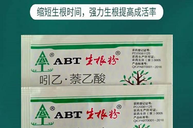 秋天养花的时候,用几粒这个,都不用施肥了