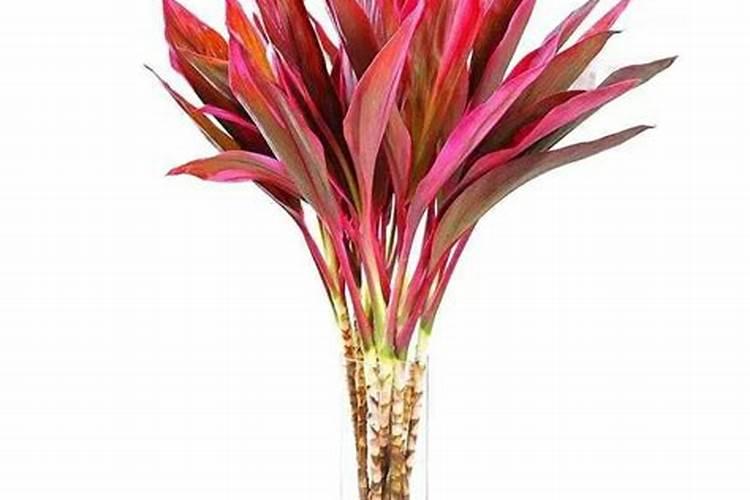 施用氮肥的方法