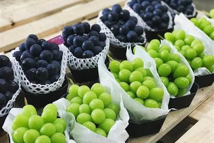 碱性土壤用什么肥料比较好