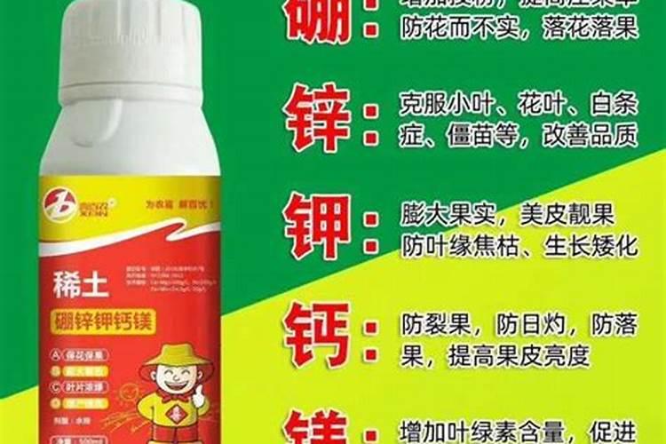 大棚突围桃管理技术