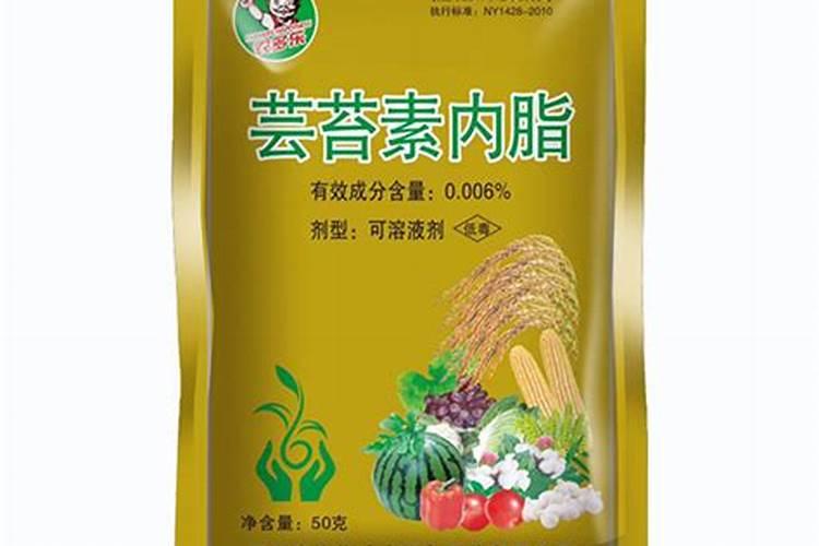 甜高梁种植后如何管理