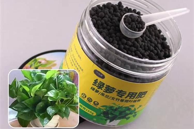 韭菜钻心虫防治方法 打什么农药好