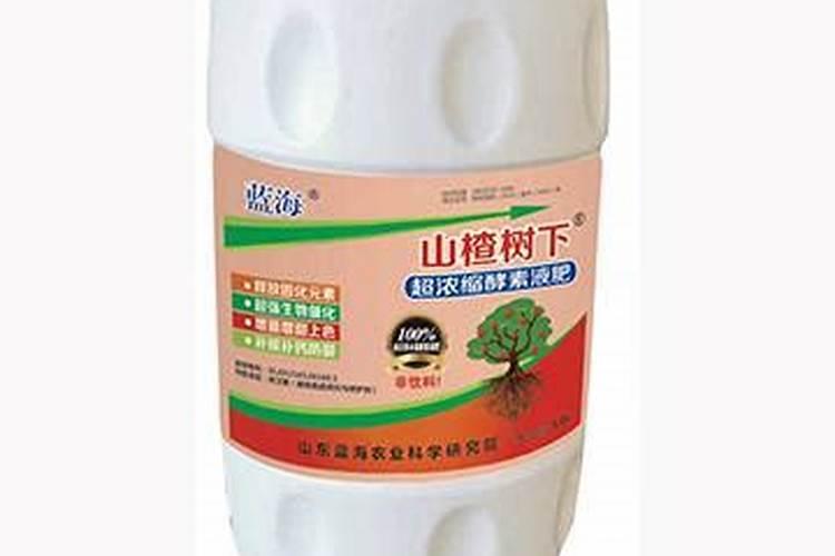 种植山楂应该如何施肥？施肥时需要注意什么？