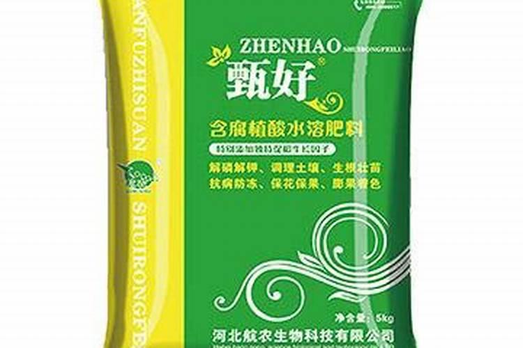 种橙子施什么肥