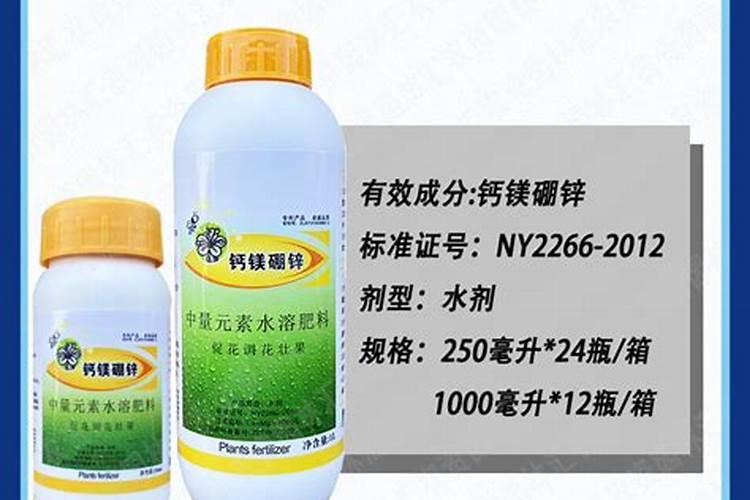 月季多久施一次肥