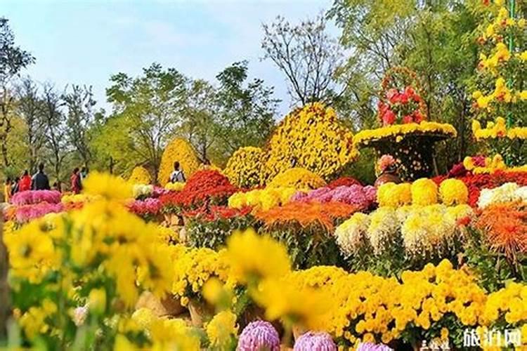 芒果种植施用水溶肥料注意事项有哪些