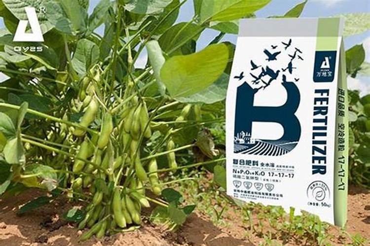 黄豆施什么肥比较好