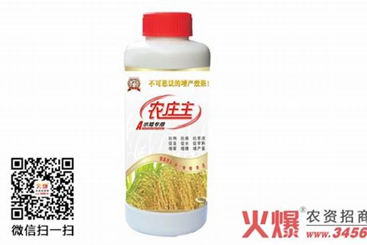水稻叶面肥,水稻叶面肥什么时候用 叶面肥用法用量