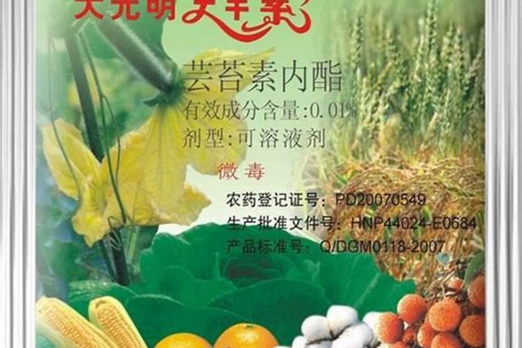 向日葵用什么肥好