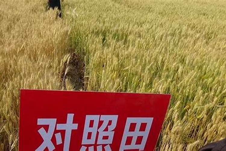 骨粉钙肥的施用方法请回答