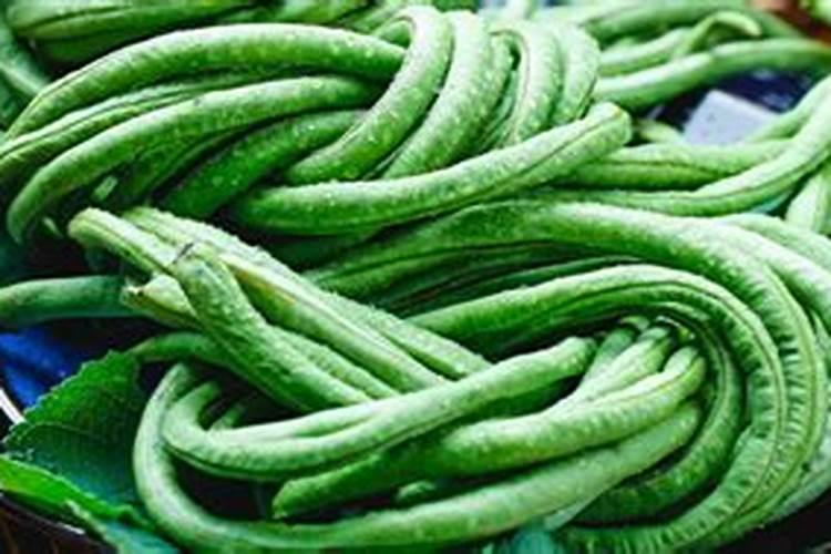 豇豆追肥用什么肥料好