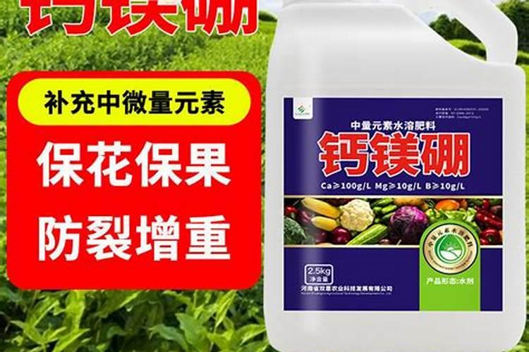 硼肥是什么肥料,硼肥效果,使用方法