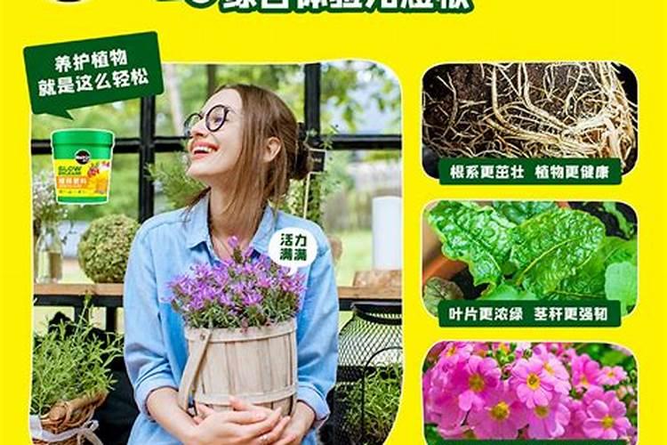 芸苔素的作用和使用方法 芸苔素如何分辨真假