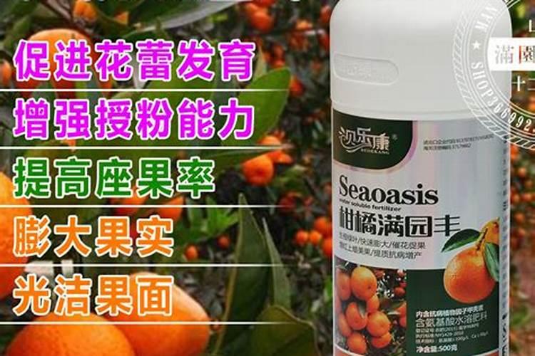 鱼蛋白草莓冲施的最佳时期