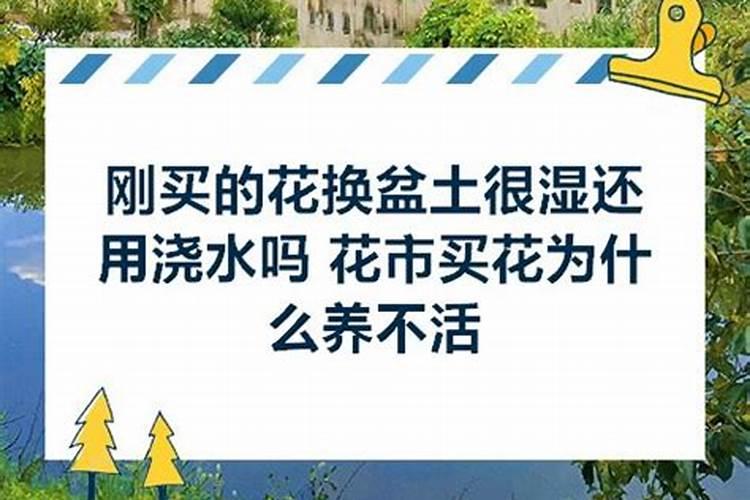 谁能帮我找到所有内蒙古和湖南的农业公司的详细资料及详细的联系方式...