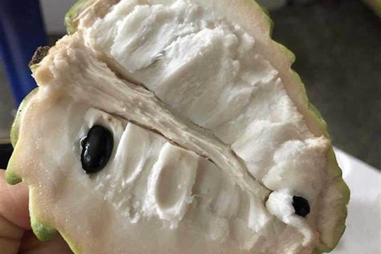 追肥有几种方法