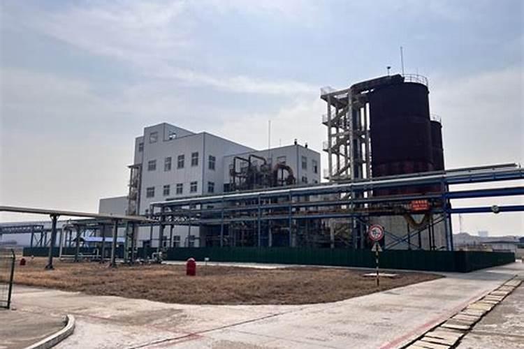 小果树施什么肥长的快