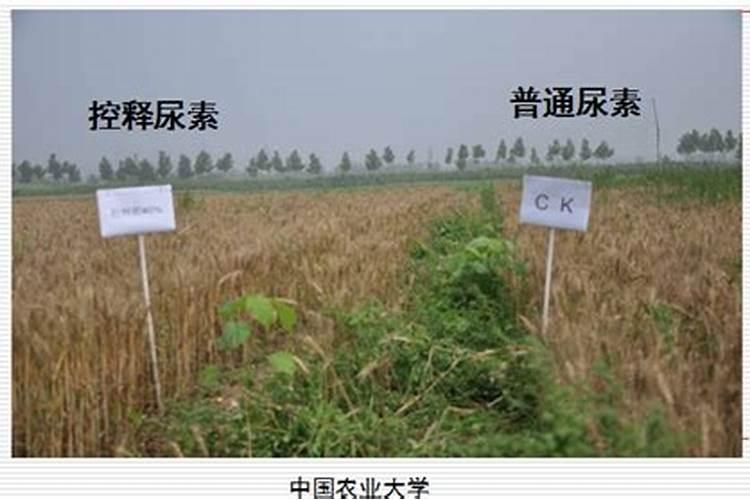 桃树生根剂制作方法