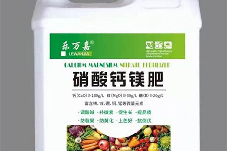 怎么栽桃树苗成活率高 提升桃树苗成活率的措施有哪些