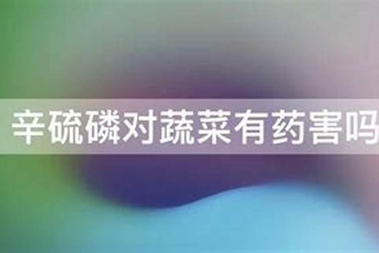怎样防止白菜后期烂根烂心(大白菜烂根原因及喷药防治)