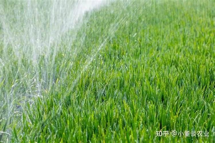 尿素价格“大范围”下跌,复合肥、磷肥、钾肥多少钱一吨了？