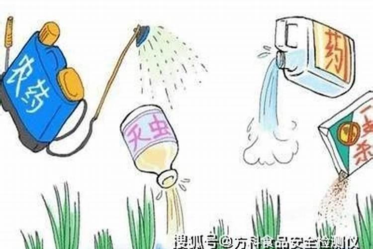 硝盐,红曲米和熟硝各是什么东东？