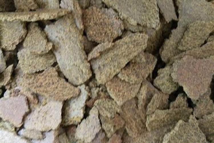 骨粉是什么肥料？