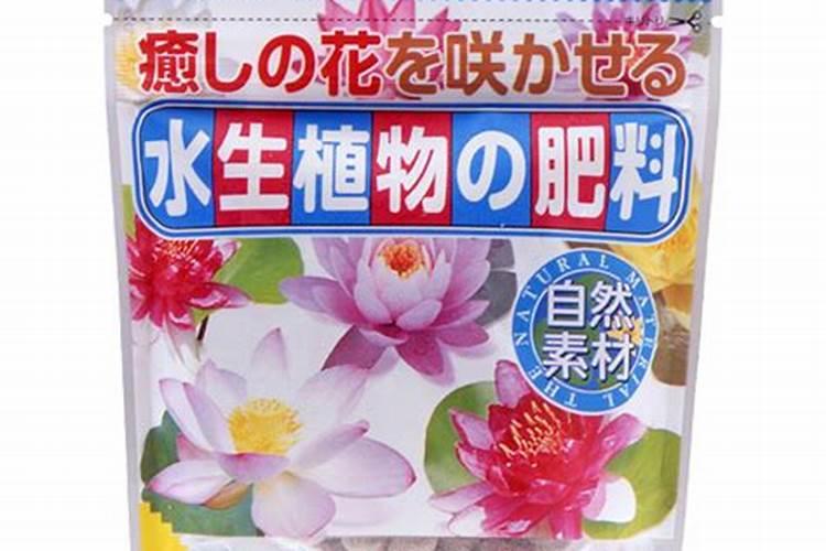 养植花卉在施肥过程中要注意什么问题？