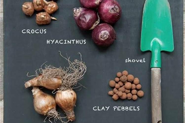 我初中毕业去有机化肥厂干化验员可以吗