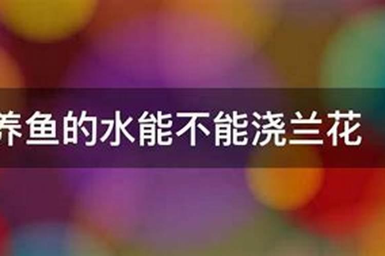 鱼蛋白水溶肥现在怎么用