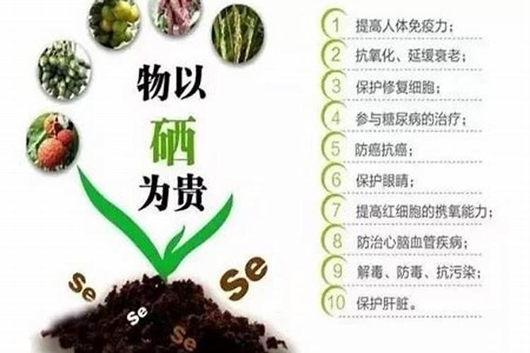 石菖蒲水培好还是土培好