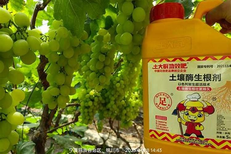 玉米专用肥哪个品牌好