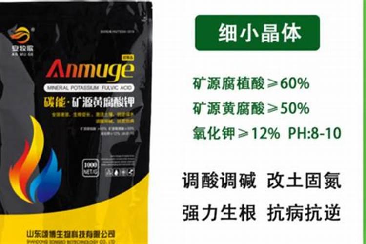 玉米用什么叶面肥效果好？