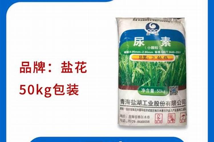 玉米施尿素的正确方法是什么