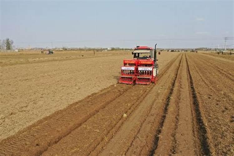 种植小麦提前几天撒上肥料在耕地可以吗？