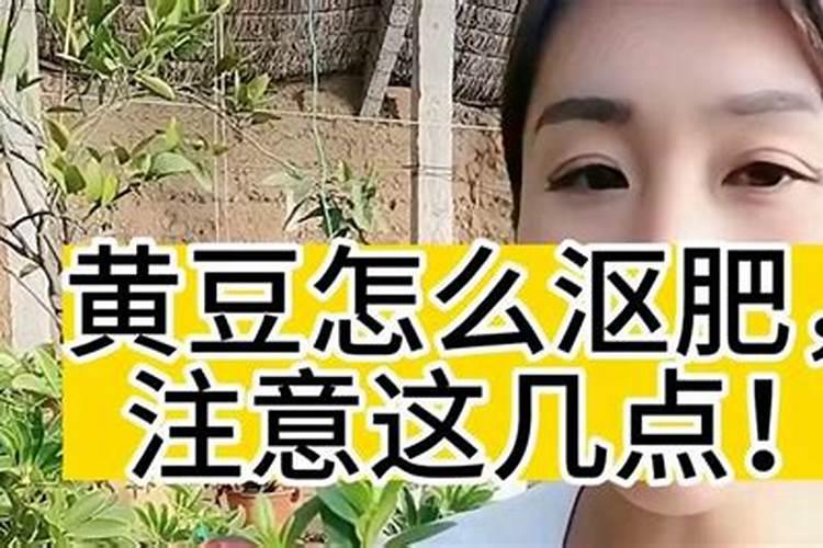 怎么用黄豆做花肥？